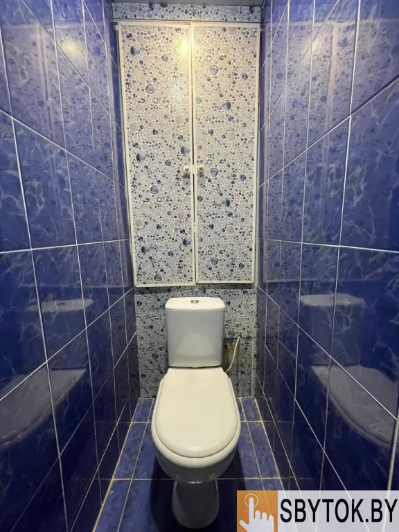 Посуточная аренда квартиры в Чечерске собственник